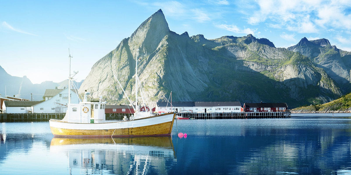 Vores fiskeolie – naturlig, vildfanget og uden koncentrat