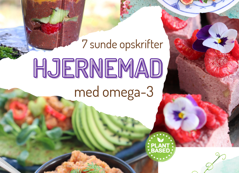 hjernemad-opskriftshæfte